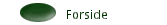 Forside