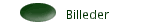 Billeder
